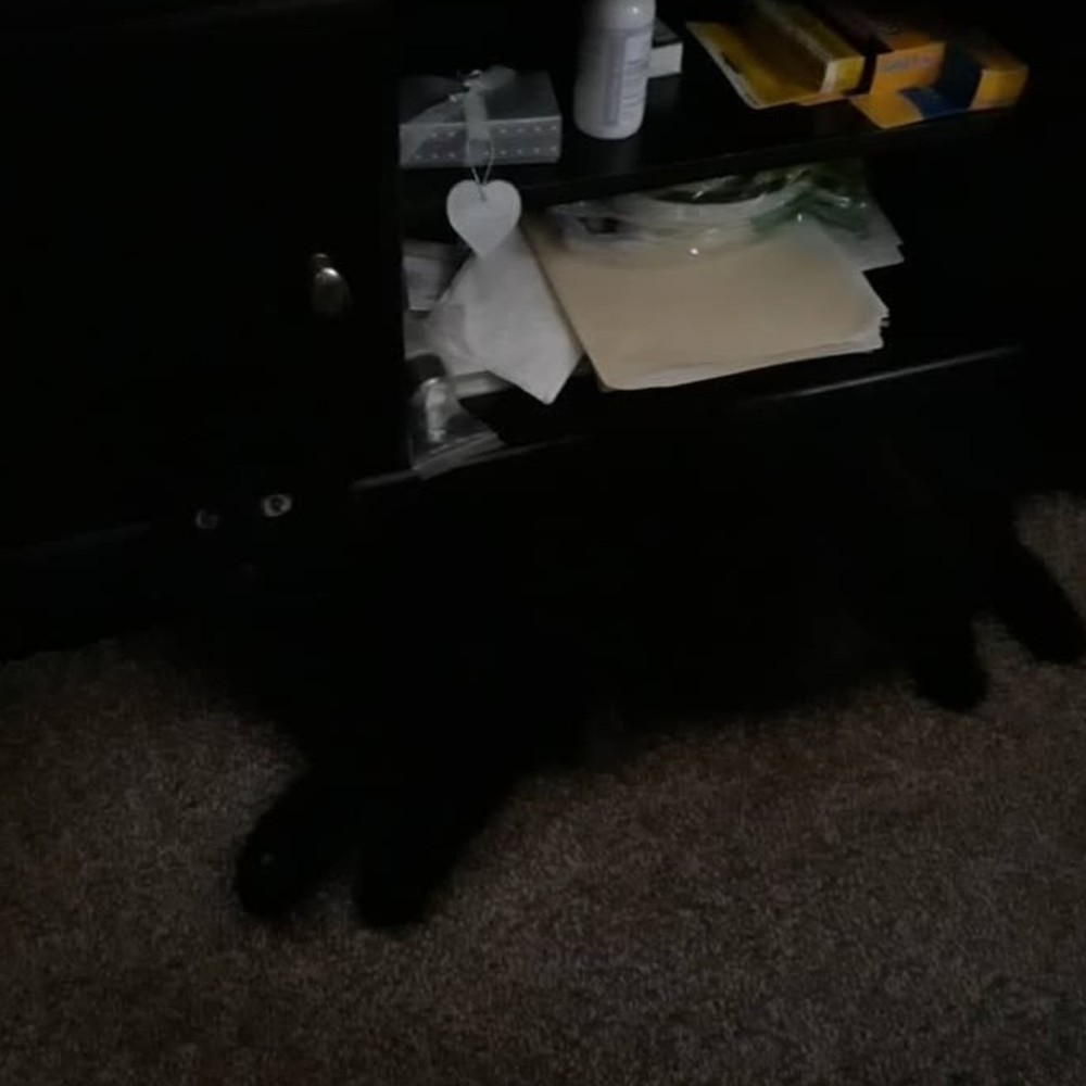 Meet your Posher, Deangela